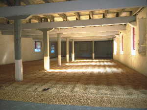 Malting Floor