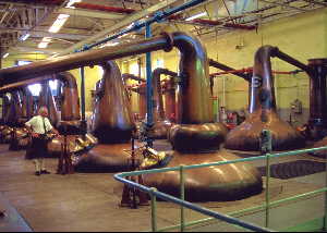 Pot Stills