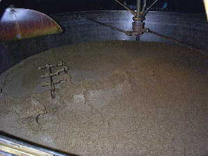 10k - Mash Tun von innen / from the Inside