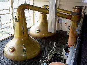 14k - Linkwood - Wash & Spirit Stills mit Kondensatoren / with Condensers