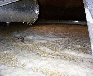 11k - Mash Tun von innen / From the Inside