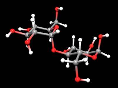 maltose_6.jpg (6404 Byte)